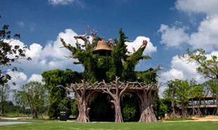 上海月湖雕塑公园 上海月湖雕塑公园-老巨木